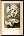 libro.jpg (2289 bytes)