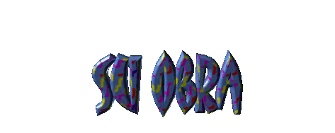 Su obra