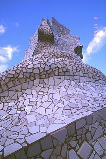 Espalda