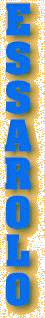 T1.jpg (13800 bytes)